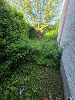 Exemple Avant/Après 2