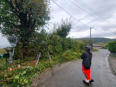 Exemple Avant/Après 2