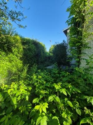 Exemple Avant/Après 2