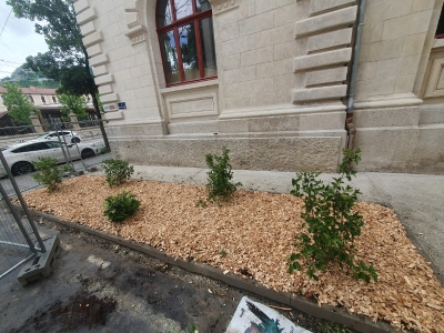 Création massif végétal Grenoble