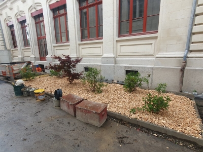 Création massif végétal Grenoble