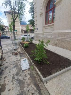 Création massif végétal Grenoble