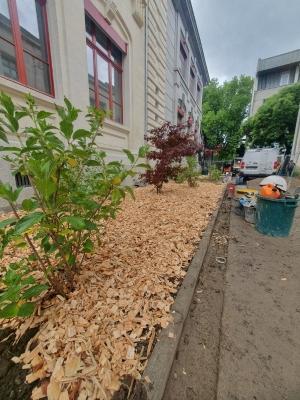 Création massif végétal Grenoble