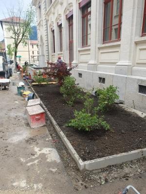 Création massif végétal Grenoble