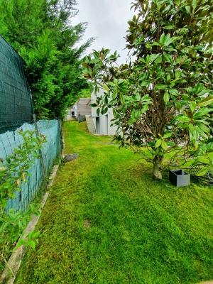 Tonte de pelouse à La Tronche