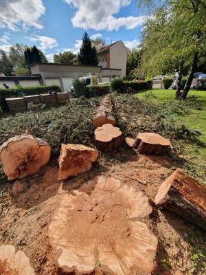 Abattage arbre Saint-Martin-d’Hères