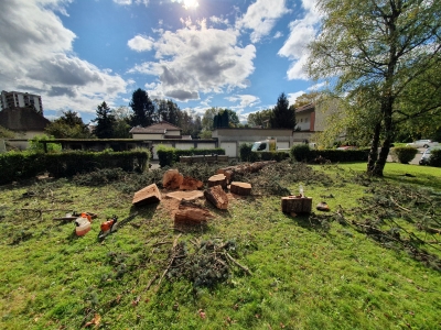 Abattage d’un arbre malade à Saint-Martin-d’Hères