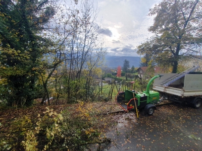 Remise en état d’une haie forestière à Montbonnot-Saint-Martin