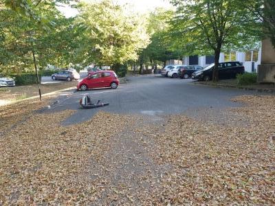 Entreprise paysagiste Grenoble - Soufflage et ramassage de feuilles