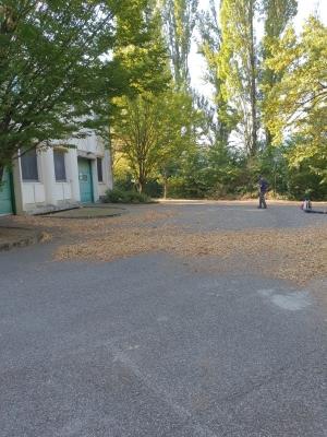 Grenoble- Soufflage et ramassage de feuilles