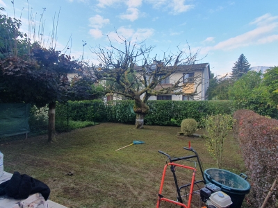 Scarification et regarnissage de gazon à Crolles