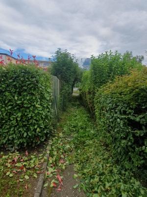 Paysagiste Grenoble - Taille de haie à Biviers
