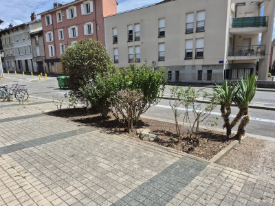 Copropriété - Paysagiste Grenoble