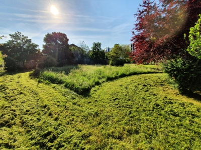 Paysagiste Grenoble tonte pelouse copropriété