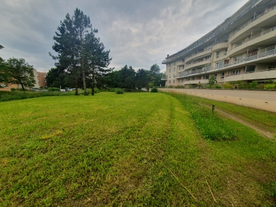 Fauchage raisonné et gestion différenciée dans une copropriété à Eybens