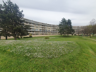 Entreprise paysagiste Grenoble - Fauchage raisonné dans une copropriété