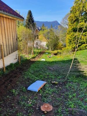Plantation de haies au Sappey-en-Chartreuse