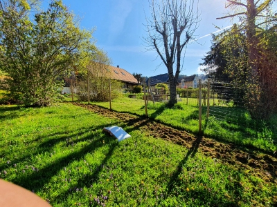 Plantation de haies Sappey-en-Chartreuse - Paysagiste Grenoble