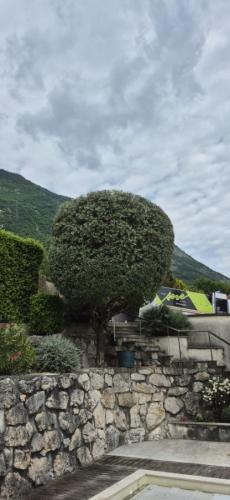 Paysagiste - Entretien jardin Saint Ismier