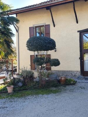 Saint-Ismier - Entretien harmonieux jardin