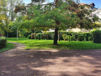 Paysagiste Grenoble pour copropriété