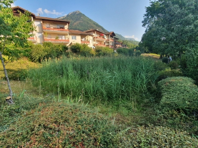 Fauchage d’une zone humide à Biviers