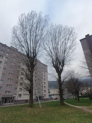 Paysagiste copropriété Grenoble