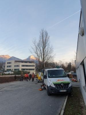 Paysagiste Grenoble : Élagage des peupliers dans une copropriété