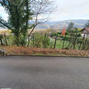 Remise en état d’une haie forestière à Montbonnot-Saint-Martin (Isère)
