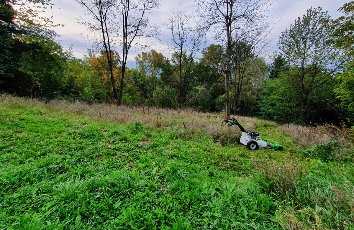 Avant Fauchage d'une zone enherbée à Biviers