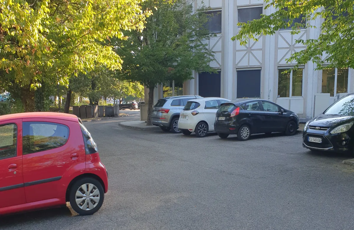 Soufflage et ramassage de feuilles à Grenoble (Isère)