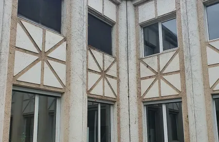 Arrachage lierre façade Grenoble