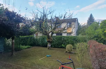 Scarification et regarnissage de gazon à Crolles