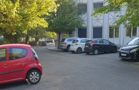 Soufflage et ramassage de feuilles à Grenoble (Isère)