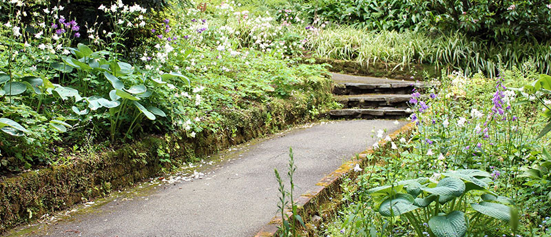 Bon paysagiste Grenoble