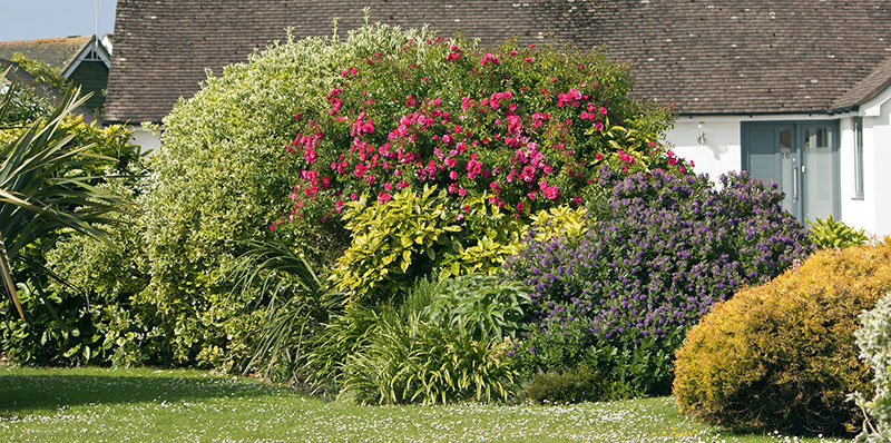 Entreprise paysagiste Grenoble