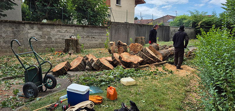 Grenoble entreprise paysagisme