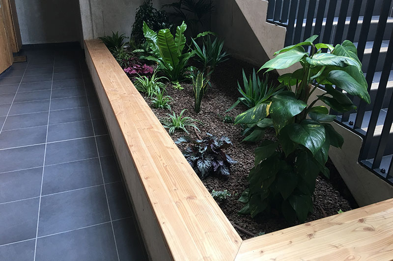 Paysagiste Grenoble maçonnerie paysagère